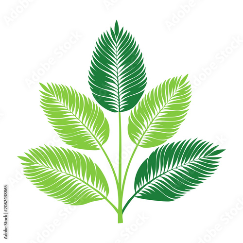 Flat design palm leaf vector isolated