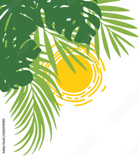 Summer Solstice Corner