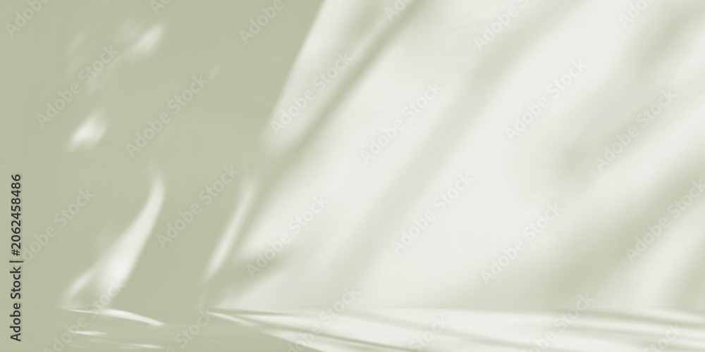 Fototapeta premium Features a minimalist studio background in soft olive green with organic shadows of tree branches and leaves cast across the wall and floor
