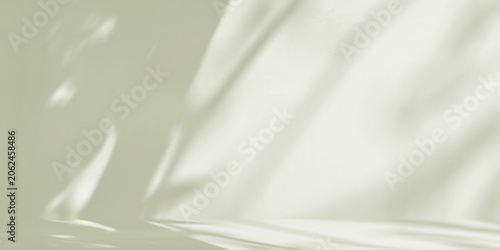 Fotografie Features a minimalist studio background in soft olive green with organic shadows