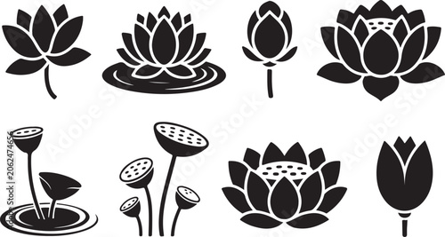 Fotografie Black and white lotus flower vector illustrations