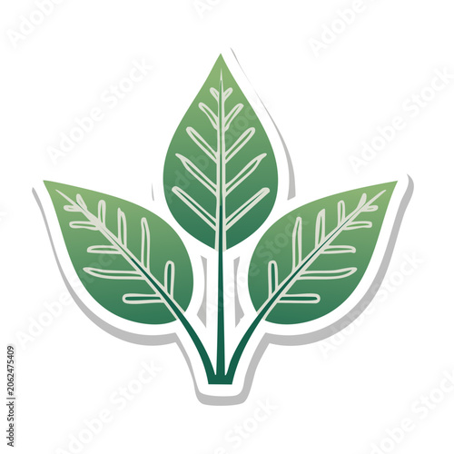 Three Green Leaves Icon on Transparent Background