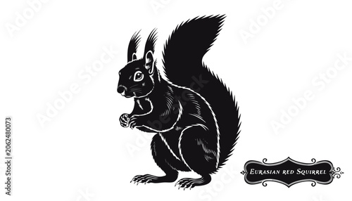 Obraz na plátně Very beautiful black-and-white engraved vector illustration featuring a EURASIAN