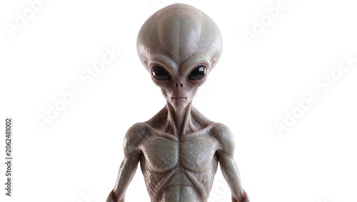 Fényképezés Gray alien creature with large black eyes and muscular body