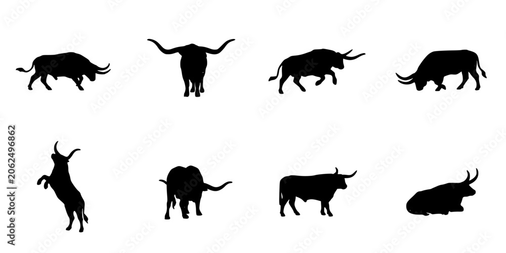Fototapeta premium Bulls in Various Poses and Stances, Black Silhouettes, Dynamic and Static Positions, Detailed Outlines