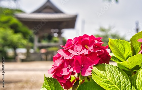 光明寺