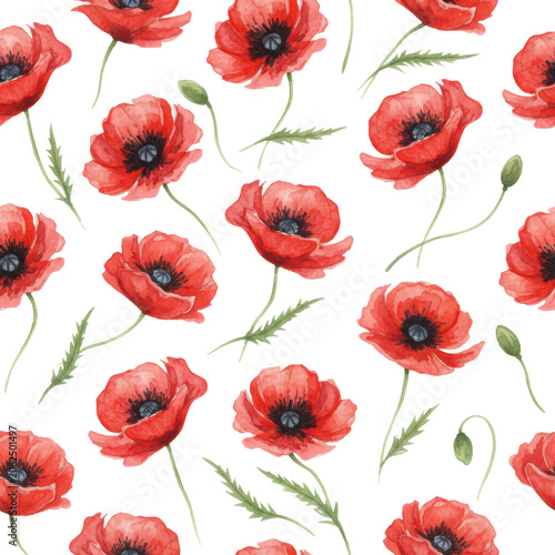 Vibrant red poppy flowers with ruffled petals in a seamless watercolor pattern on a white background with fluid textures concept of floral elegance