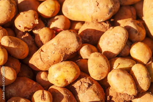 Frische Kartoffeln (Solanum tuberosum) an einem Marktstand zum Verkauf,  Deutschland