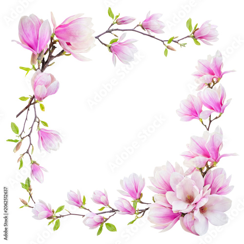 Beautiful L-shaped arrangement of vibrant pink magnolia flowers, buds, and green leaves on branches.