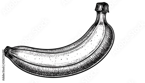 Drawing of a single banana fruit.