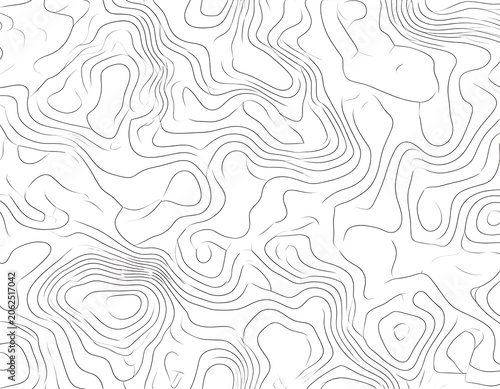Gray topographic map contour lines pattern.