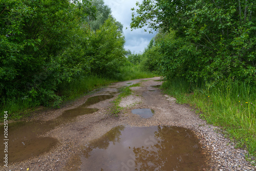 road in the forest