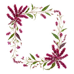 Vibrant magenta and pink floral corner border featuring spiky blossoms and green foliage, ideal for design elements.