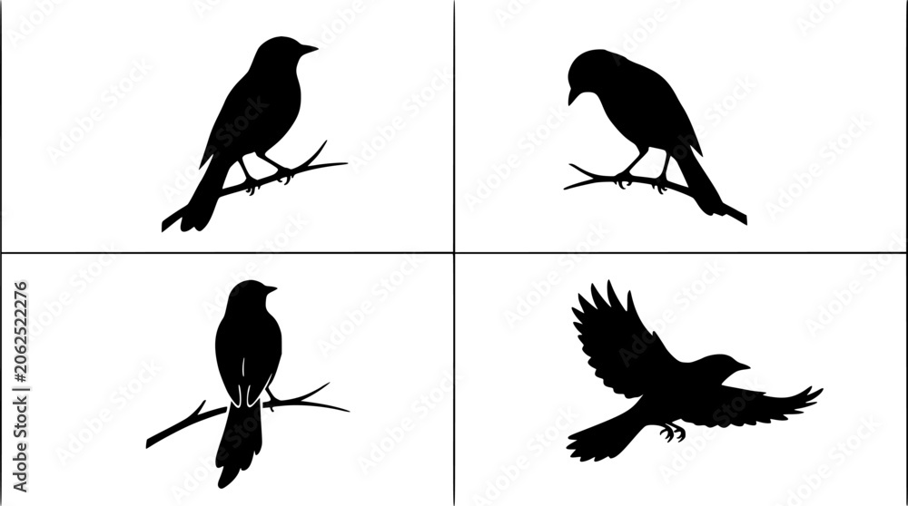 Fototapeta premium Bird Silhouette Illustration Set of Four Poses Perched and Flying on Branch, Isolated Black Vector Graphic