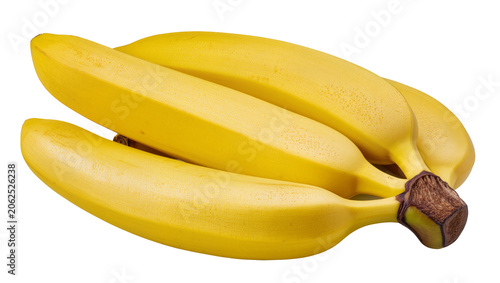 Obraz na plátně Bunch of ripe yellow bananas with brown stem