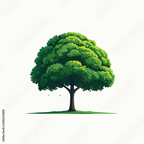 Single Lush Green Tree Isolated on White Background.