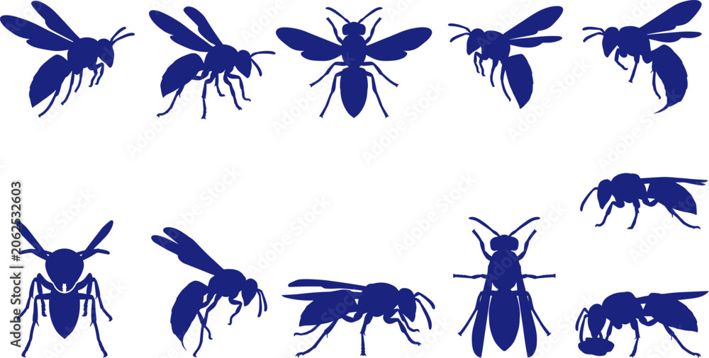 Obraz premium Wasp and hornet silhouette pack illustrating stinging insects flying and crawling on white Collection