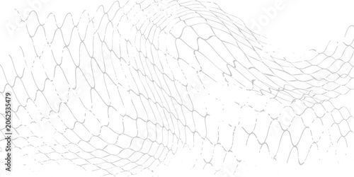 Black snake skin pattern isolated on white background eps 10