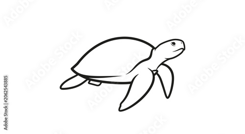 Simple Sea Turtle Illustration - Minimalist Line Art