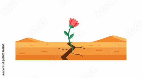 Single red flower blooms through cracked dry earth in arid landscape