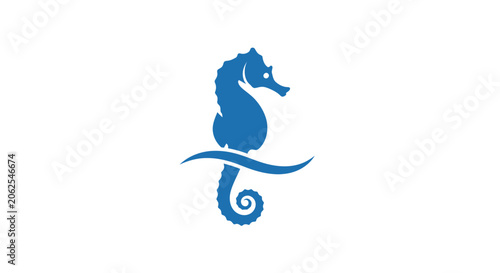 Photos Blue Seahorse Silhouette Ocean Creature.