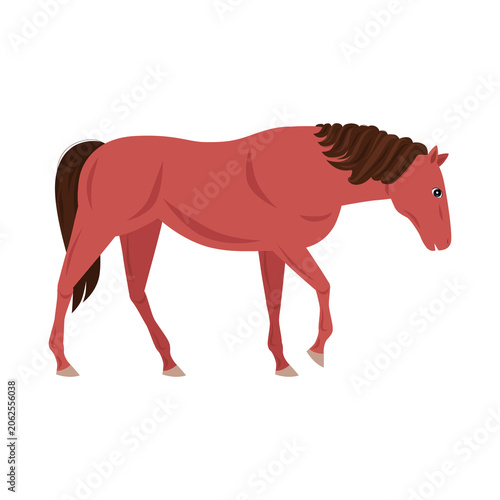 03 - Animals