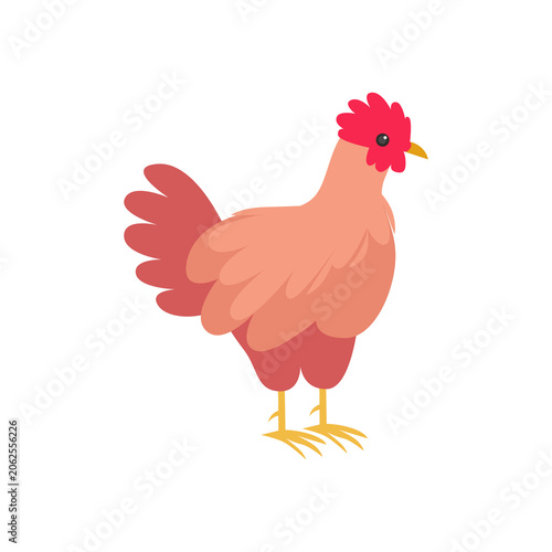 03 - Animals