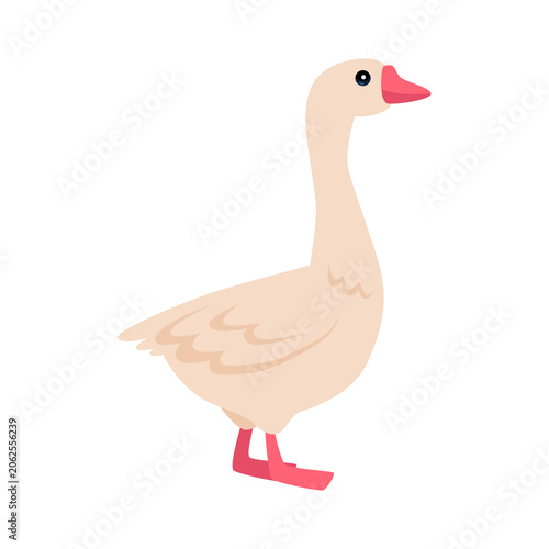 03 - Animals
