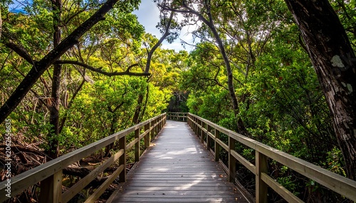 Wooden boardwalk cuts through a lush, green forest, sunlight dappling the path, inviting exploration and peaceful nature walk