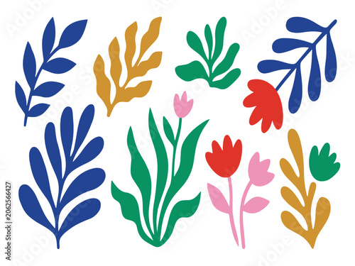 Colorful Floral Illustration