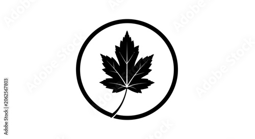 Obraz na plátně Maple leaf icon enclosed in a circular border representing Canadian heritage, national pride, and natural forestry themes for environmental or travel branding