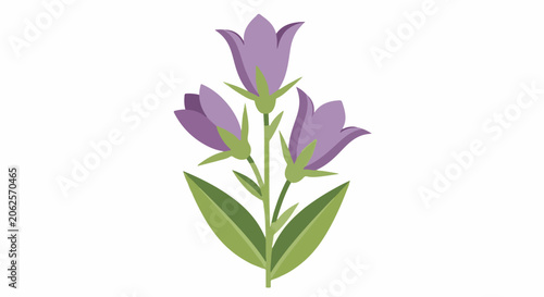 Stylized illustration of purple bell flowers and green leaves