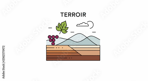 Stylized illustration of terroir with grape, leaf, clouds, and layered soil