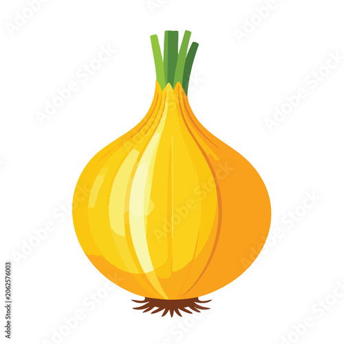 Fresh yellow onion vegetable isolated on white background.