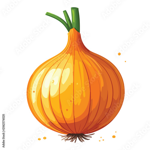 Fresh whole yellow onion vegetable isolated on white background.