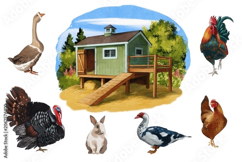Farm animals gathered around a small green barn in a backyard setting during a sunny day