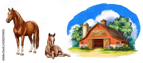 Horses and barn at a dairy farm during a sunny day in a rural setting