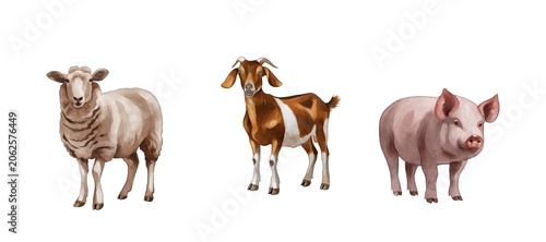 Farm animals stand together showing sheep, goat, and pig in a simple layout focused on their shapes and features