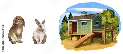 Two rabbits and a green wooden shed in a garden setting during daytime