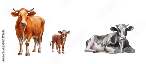 Cows and a calf stand together on a plain white background in a simple display of farm life