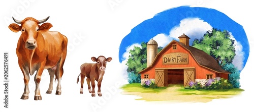 Farm animals and a barn at dairy farm with mother cow and calf under sunny sky