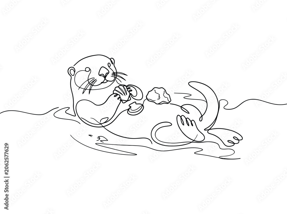 Obraz premium A cute otter floats on its back in water while holding a seashell and a stone for cracking it open