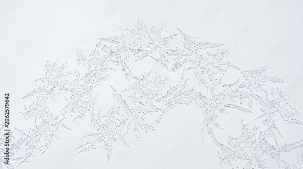 Obraz premium Intricate white frost textures with detailed ice crystal patterns inspired by a freezing winter morning on a clear glass surface