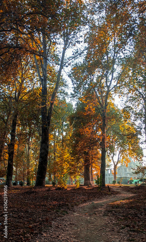 Autumn whispers through falling leaves and fading light.