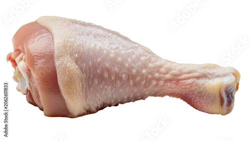 Raw chicken drumstick with skin and bone