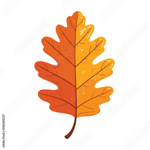 Vibrant orange autumn oak leaf illustration.