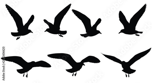 Photography Bird Silhouettes In Flight Black Shapes On White Background avian