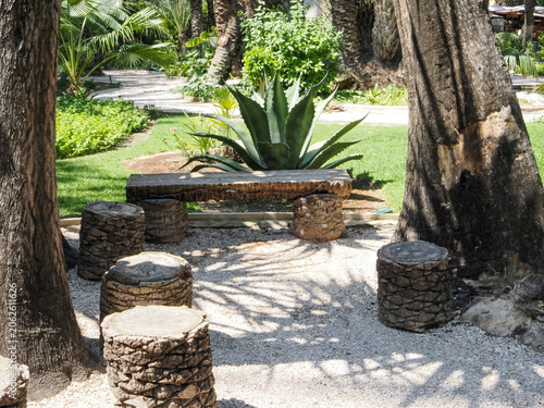 Sunny palm trees in a green park in Alicante, Spain