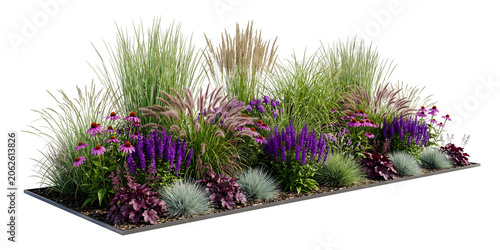 Modern Garden Flower Bed Arrangement with Ornamental Grasses, Purple Coneflowers, Salvia, and Heuchera on a Transparent Background