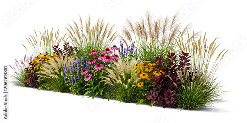 Vibrant Garden Flower Bed and Ornamental Grasses Arrangement Isolated on Transparent Background